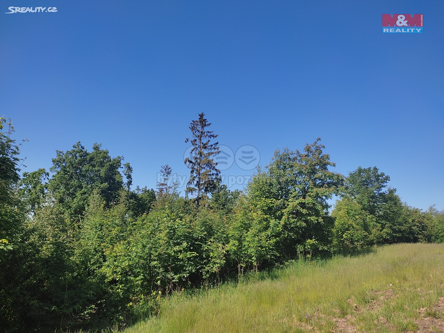 Prodej  lesa 4 932 m², Skuhrov, okres Jablonec nad Nisou