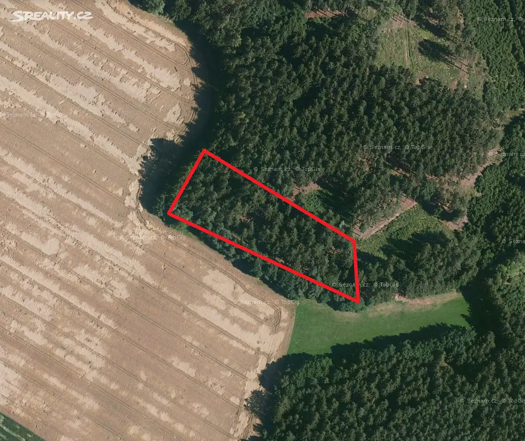 Prodej  lesa 1 852 m², Smilovy Hory - Stojslavice, okres Tábor