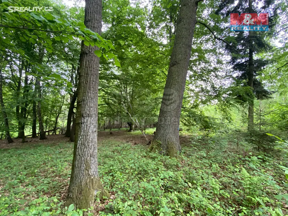 Prodej  lesa 7 286 m², Starý Jičín - Heřmanice, okres Nový Jičín