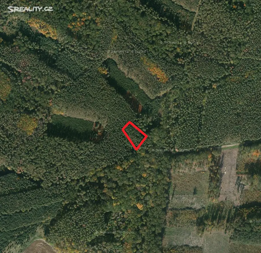 Prodej  lesa 2 118 m², Velký Osek, okres Kolín