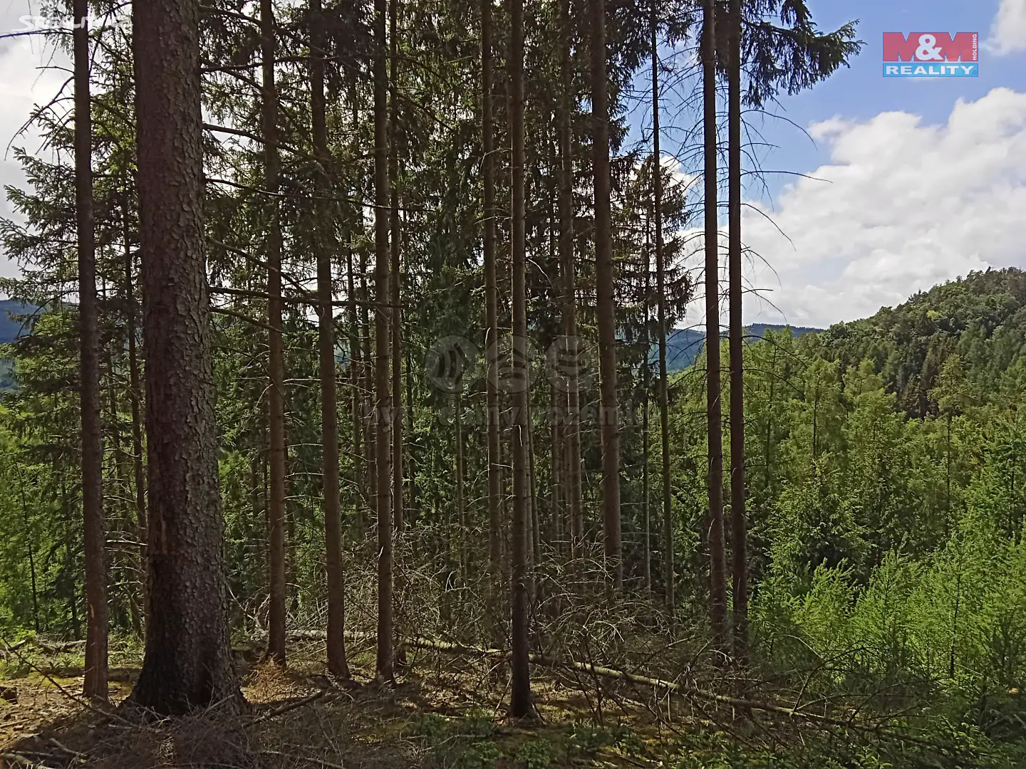 Prodej  lesa 12 182 m², Vranová Lhota, okres Svitavy