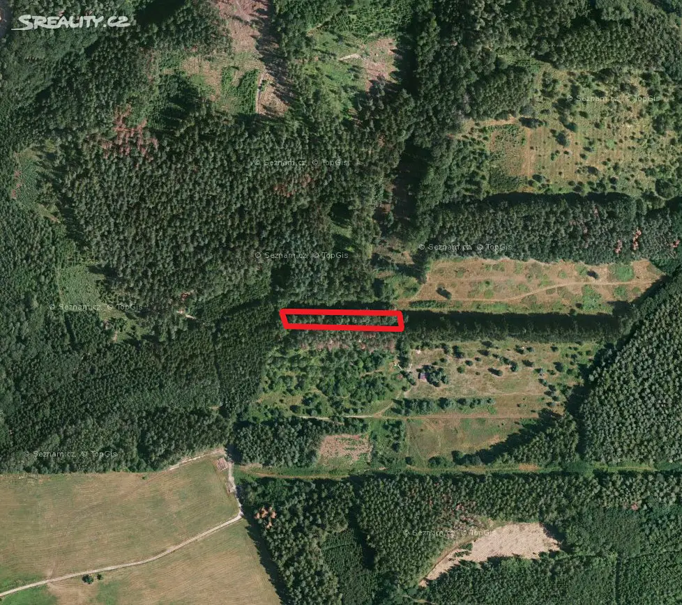 Prodej  lesa 1 745 m², Ždánice, okres Kolín