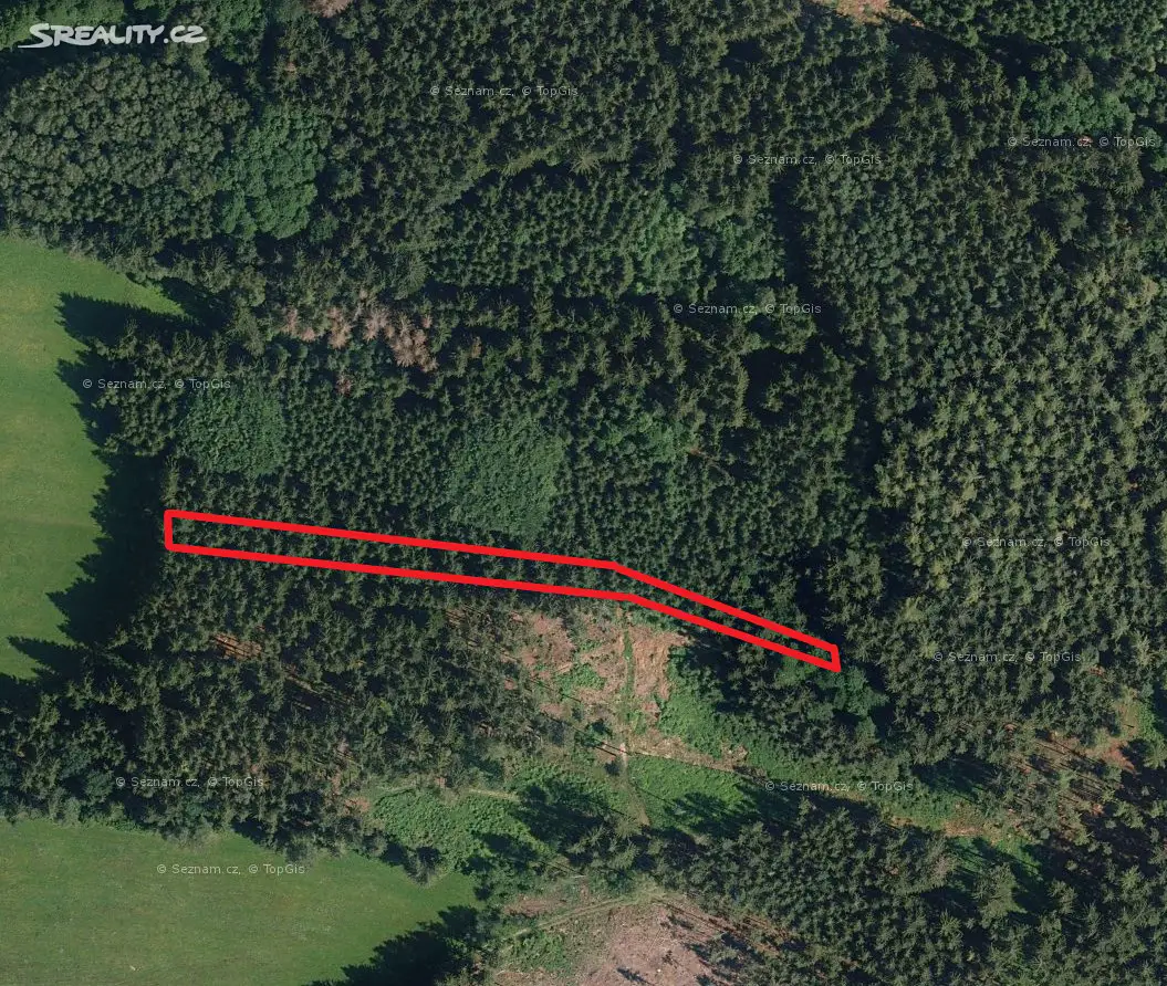Prodej  lesa 2 554 m², Žirovnice - Vlčetín, okres Pelhřimov