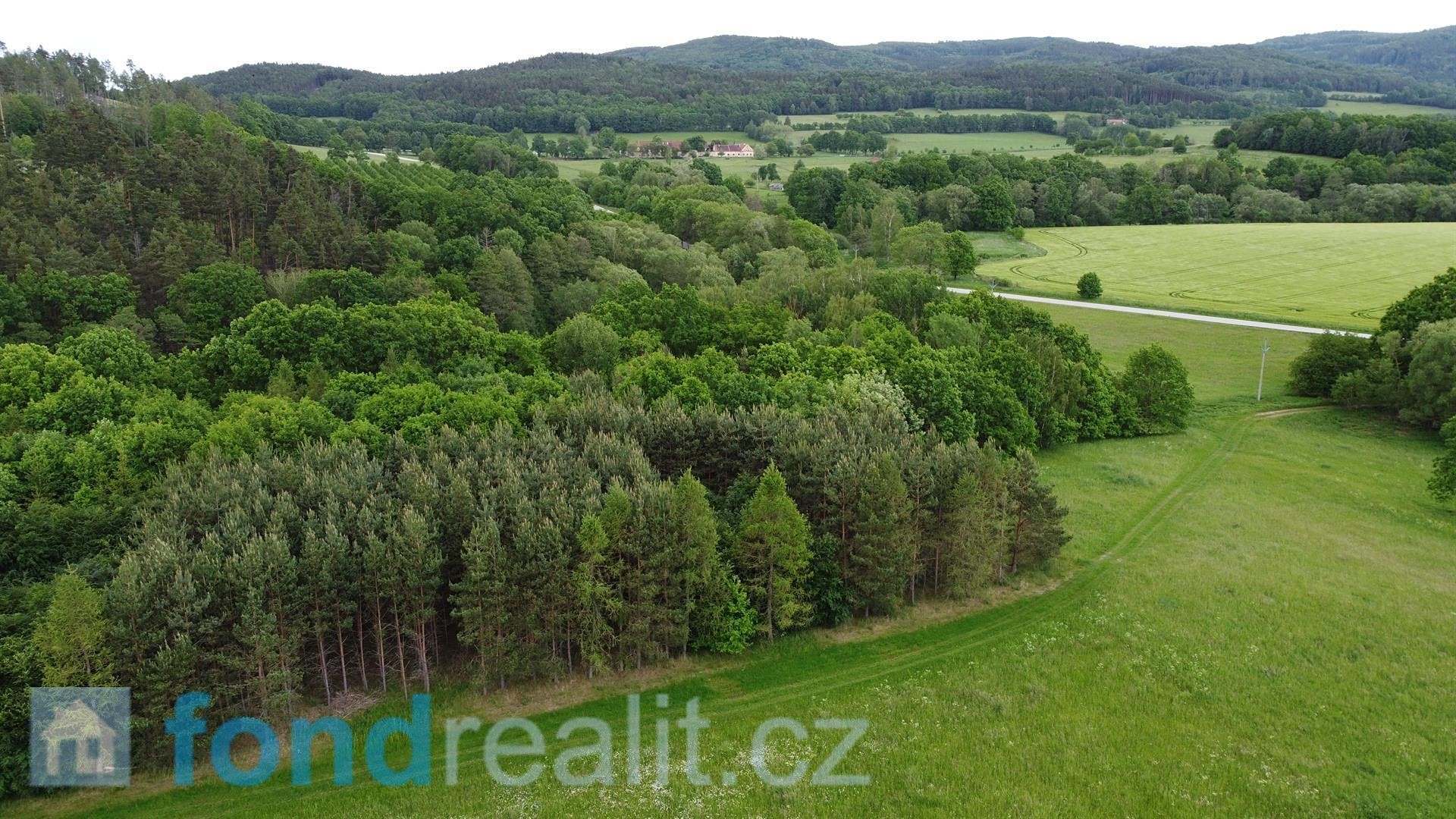 Prodej  pozemku 4 147 m², Lhenice, okres Prachatice