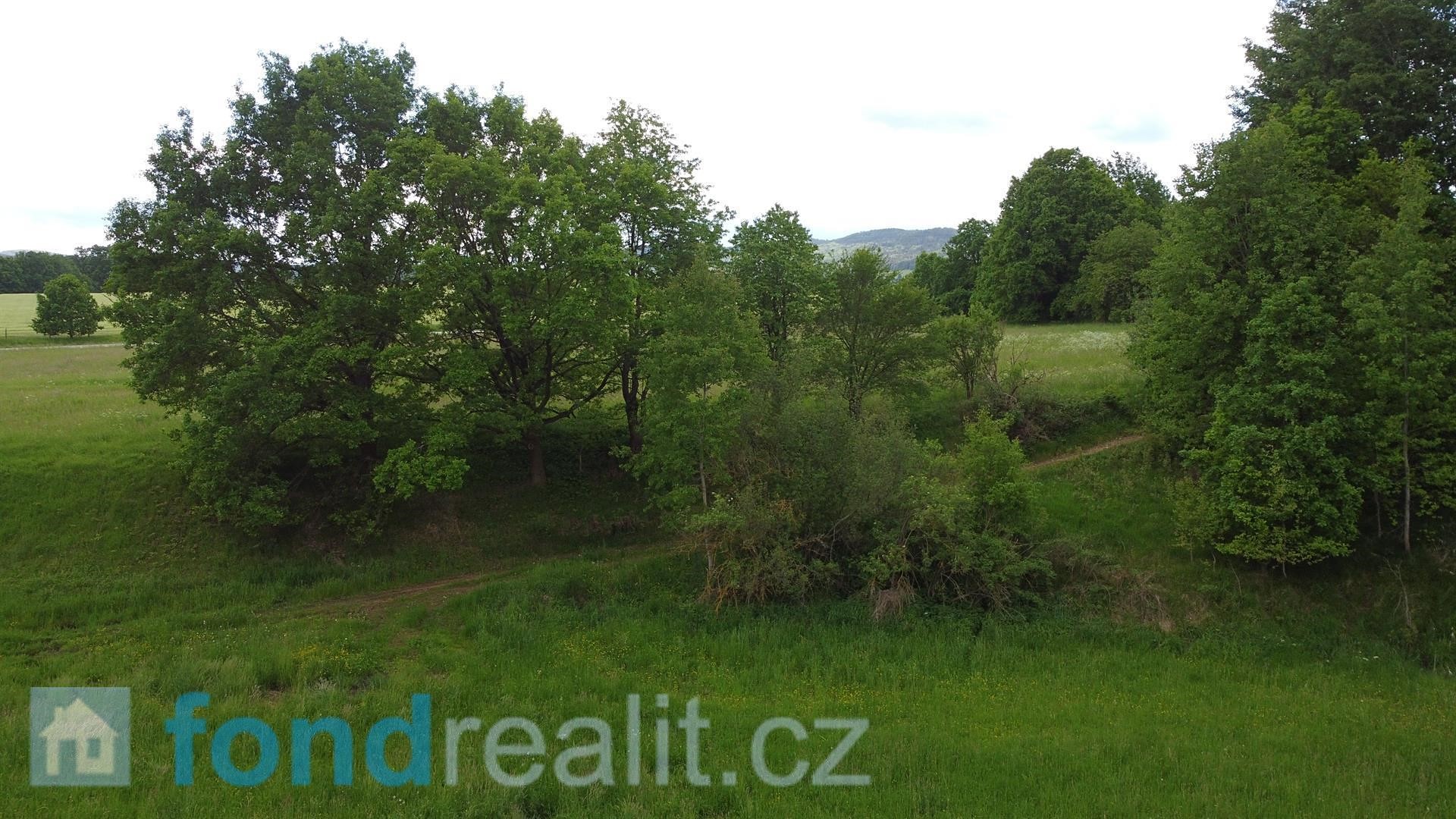 Prodej  pozemku 4 147 m², Lhenice, okres Prachatice