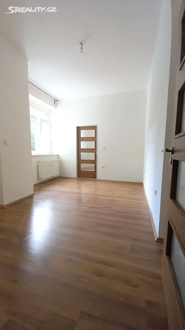 Pronájem bytu 2+kk 48 m², Podolská, Praha 4 - Podolí