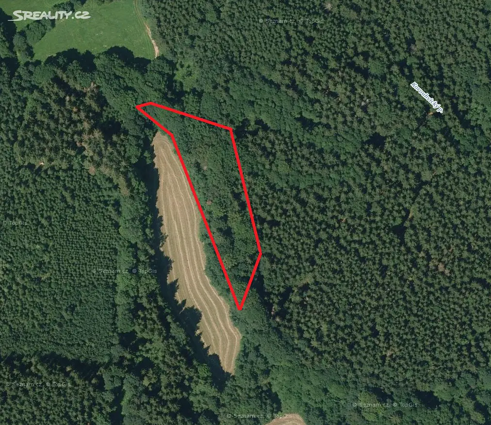 Prodej  lesa 2 548 m², Dalečín - Hluboké, okres Žďár nad Sázavou