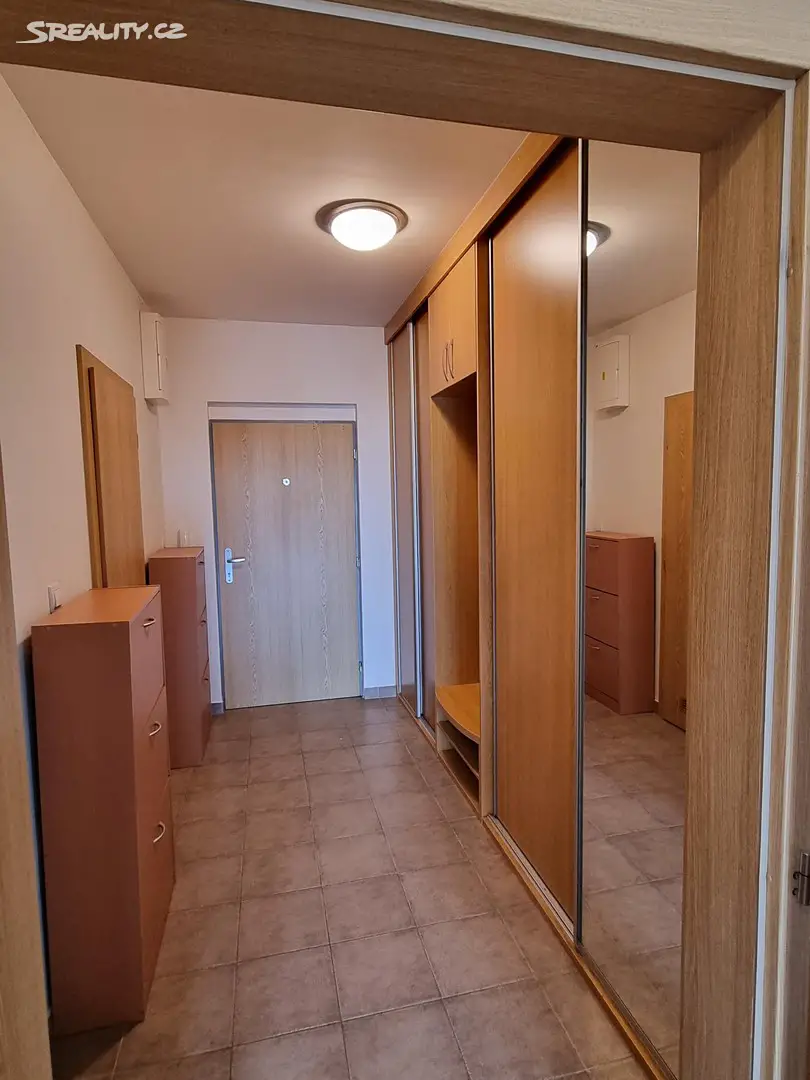 Pronájem bytu 1+kk 40 m², Panuškova, Praha 4 - Krč