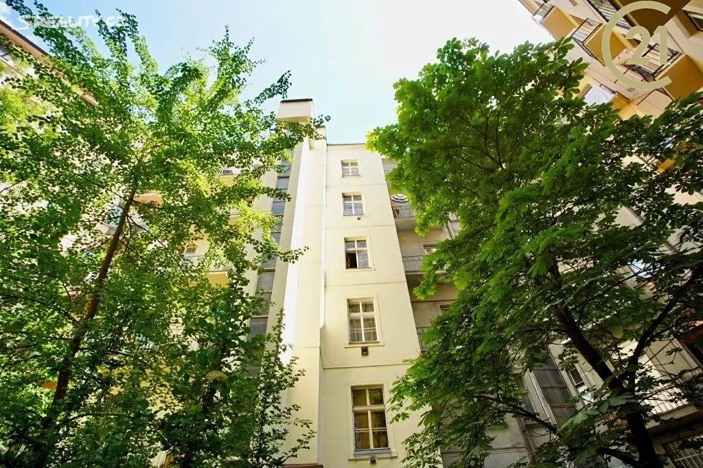Pronájem bytu 1+kk 26 m², Náplavní, Praha 2 - Nové Město