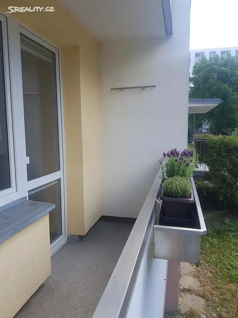 Pronájem bytu 3+1 90 m², Trávník, Česká Třebová