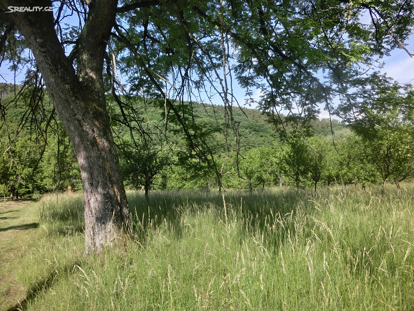 Prodej  zahrady 1 840 m², Uherské Hradiště - Míkovice, okres Uherské Hradiště