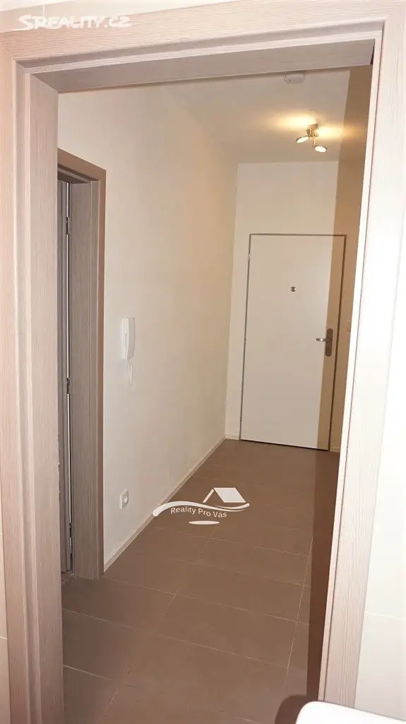 Pronájem bytu 1+kk 40 m², Turgeněvova, Brno - Černovice