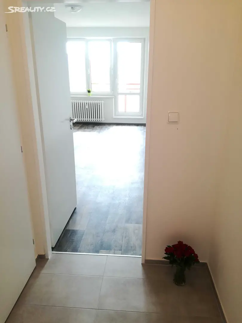 Pronájem bytu 1+kk 28 m², Lumírova, Ostrava - Výškovice