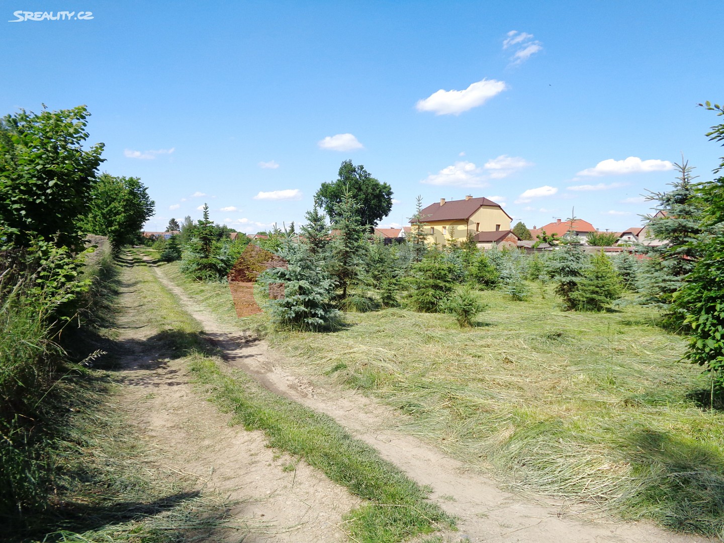Prodej  zahrady 5 565 m², Nepolisy, okres Hradec Králové