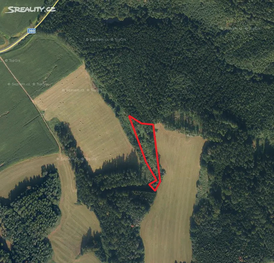 Prodej  lesa 3 792 m², Dolní Dobrouč, okres Ústí nad Orlicí