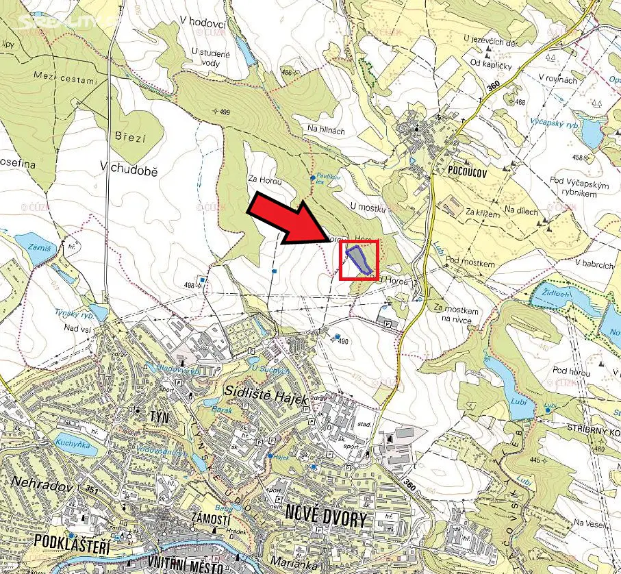 Prodej  lesa 3 058 m², Třebíč - Týn, okres Třebíč