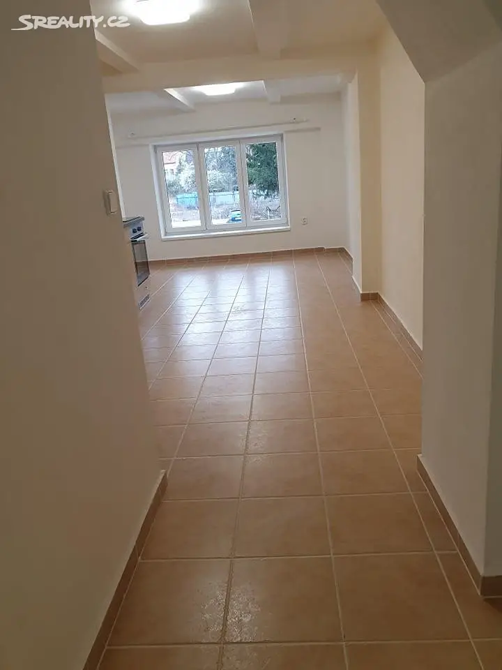 Pronájem bytu 1+1 40 m², Štítného, České Budějovice - České Budějovice 6