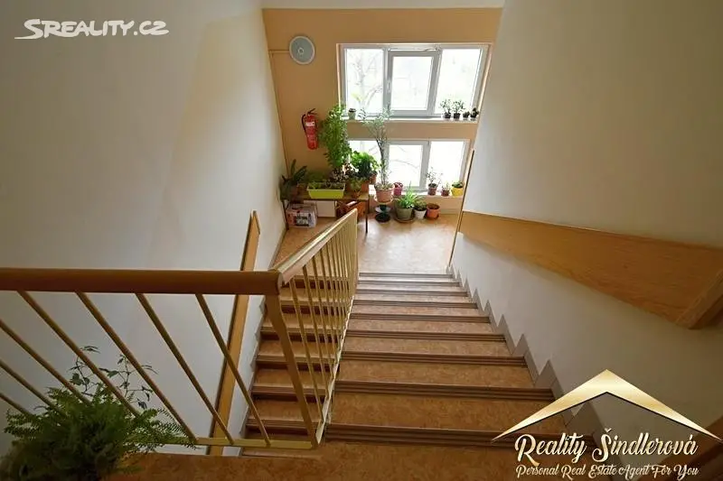 Pronájem bytu 1+1 39 m², Petřivalského, Přerov - Přerov I-Město