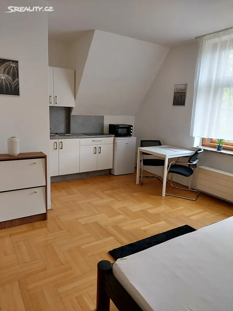 Pronájem bytu 1+kk 20 m², tř. Svornosti, Olomouc - Nová Ulice