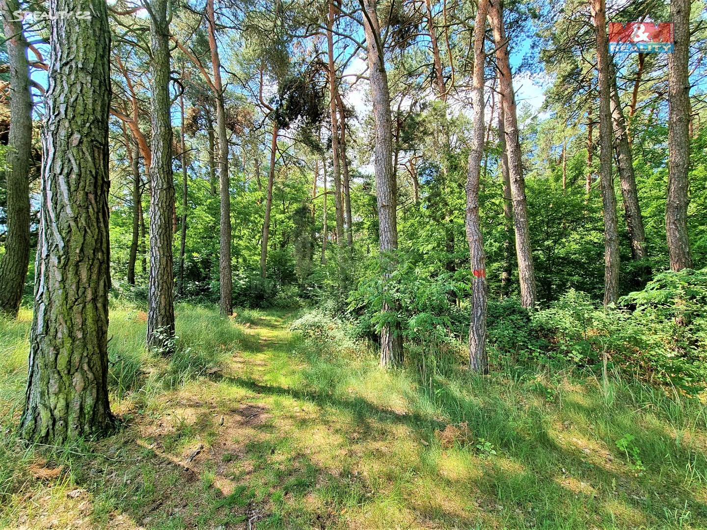 Prodej  lesa 5 663 m², Ratíškovice, okres Hodonín