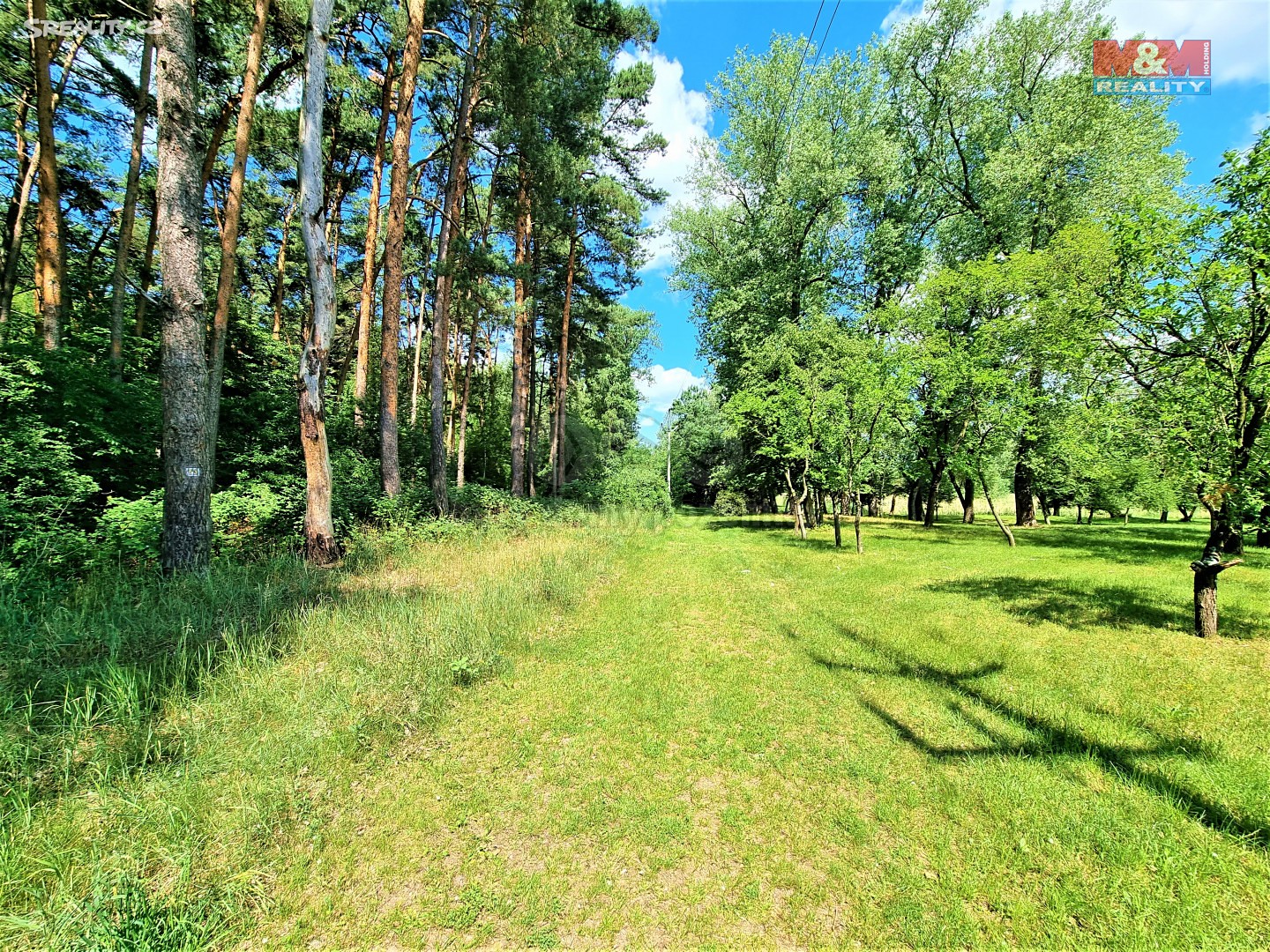 Prodej  lesa 5 663 m², Ratíškovice, okres Hodonín