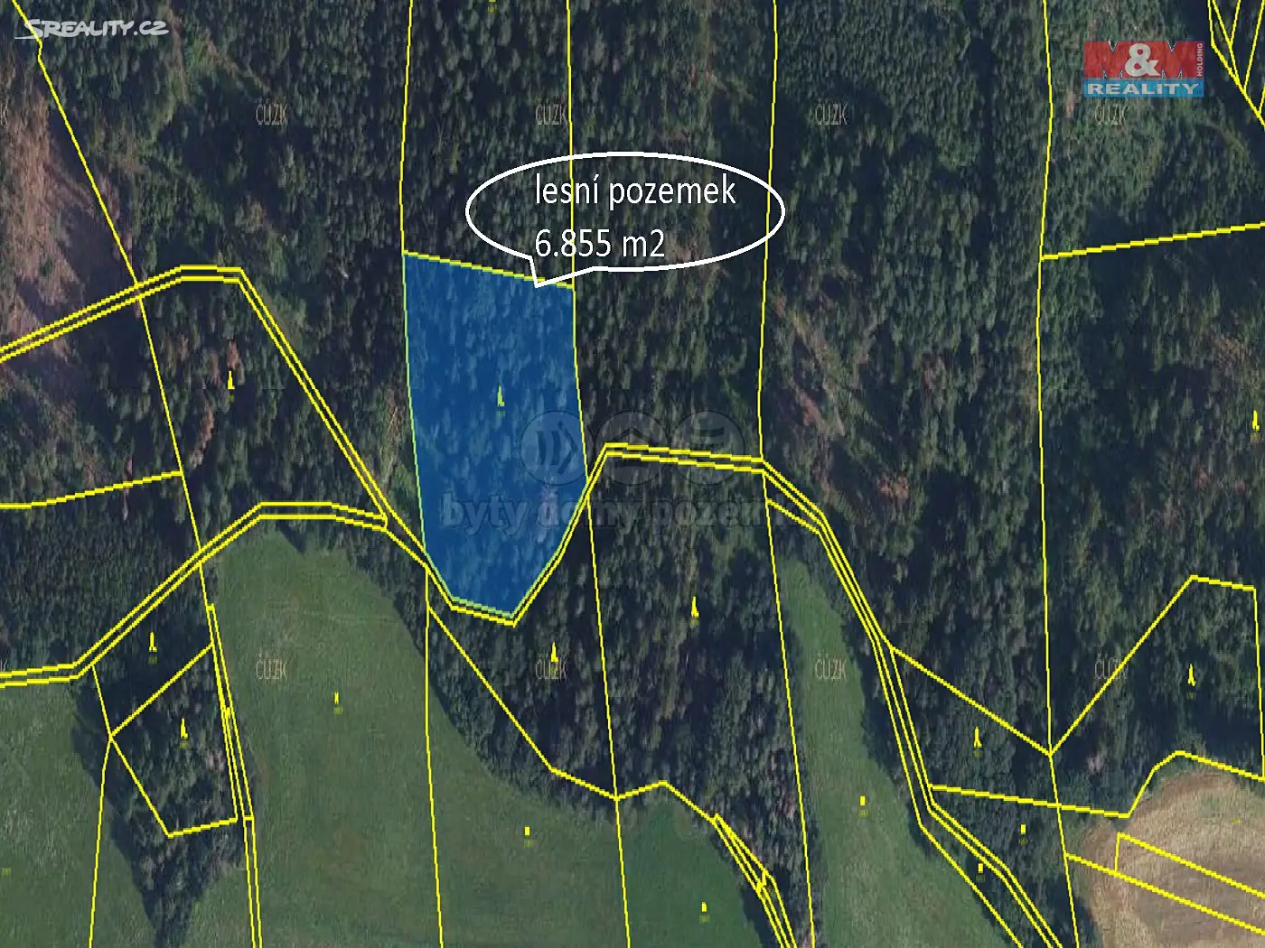 Prodej  lesa 26 721 m², Jestřebí, okres Šumperk