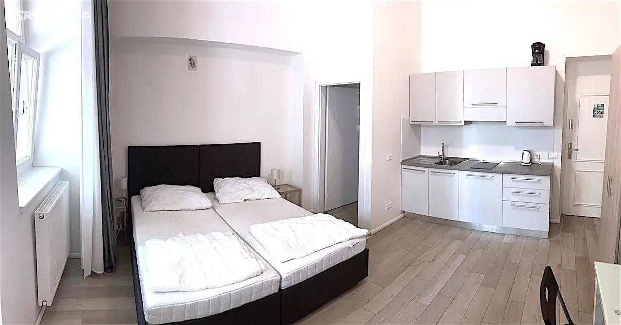 Pronájem bytu 1+kk 25 m², Wenzigova, Praha 2 - Nové Město