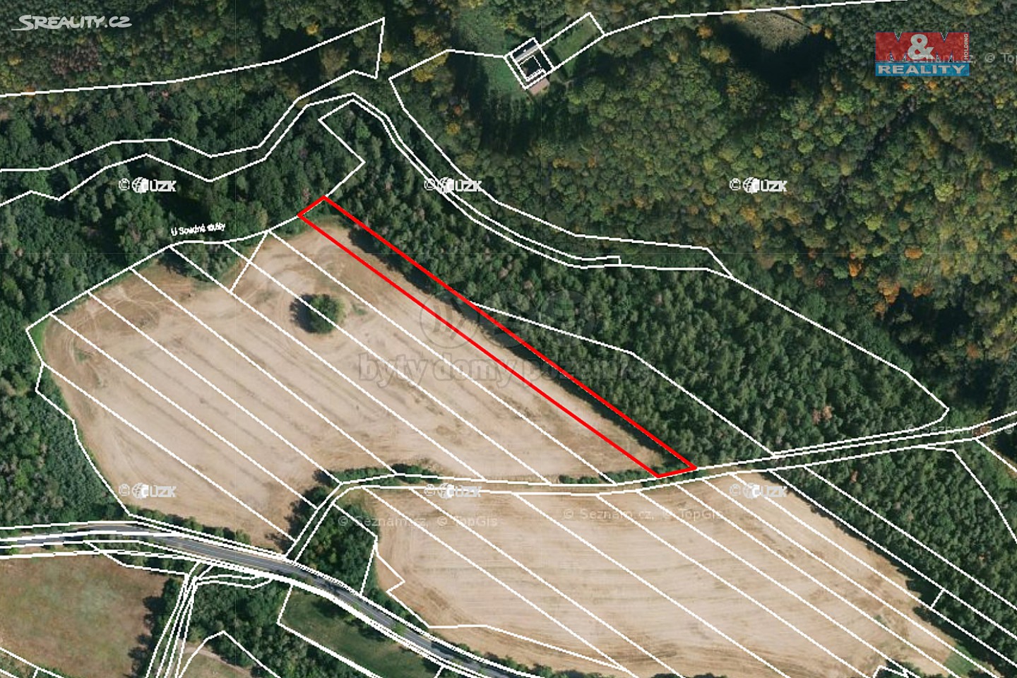 Prodej  lesa 5 313 m², Bernardov, okres Kutná Hora