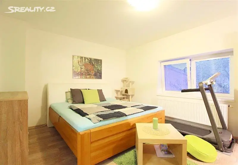 Pronájem bytu 1+1 45 m², Olomoucká, Brno - Černovice