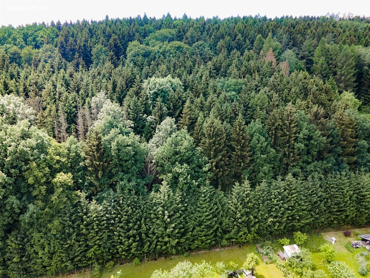 Prodej  lesa 16 869 m², Ústí nad Orlicí, okres Ústí nad Orlicí