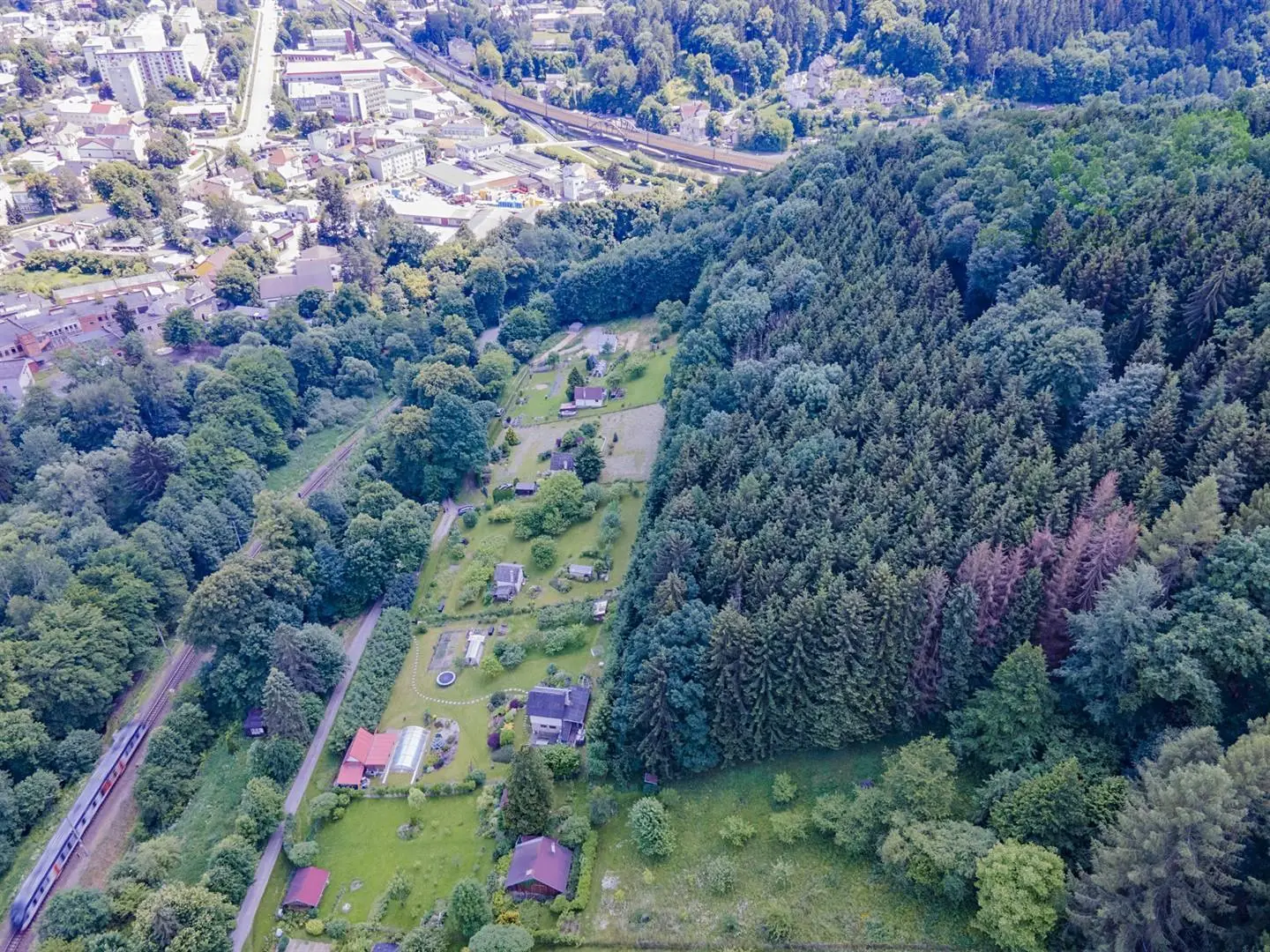 Prodej  lesa 16 869 m², Ústí nad Orlicí, okres Ústí nad Orlicí