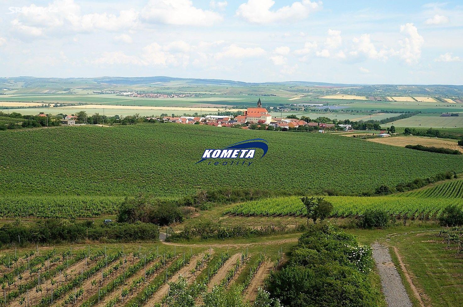 Prodej  sadu, vinice 245 578 m², Zaječí, okres Břeclav