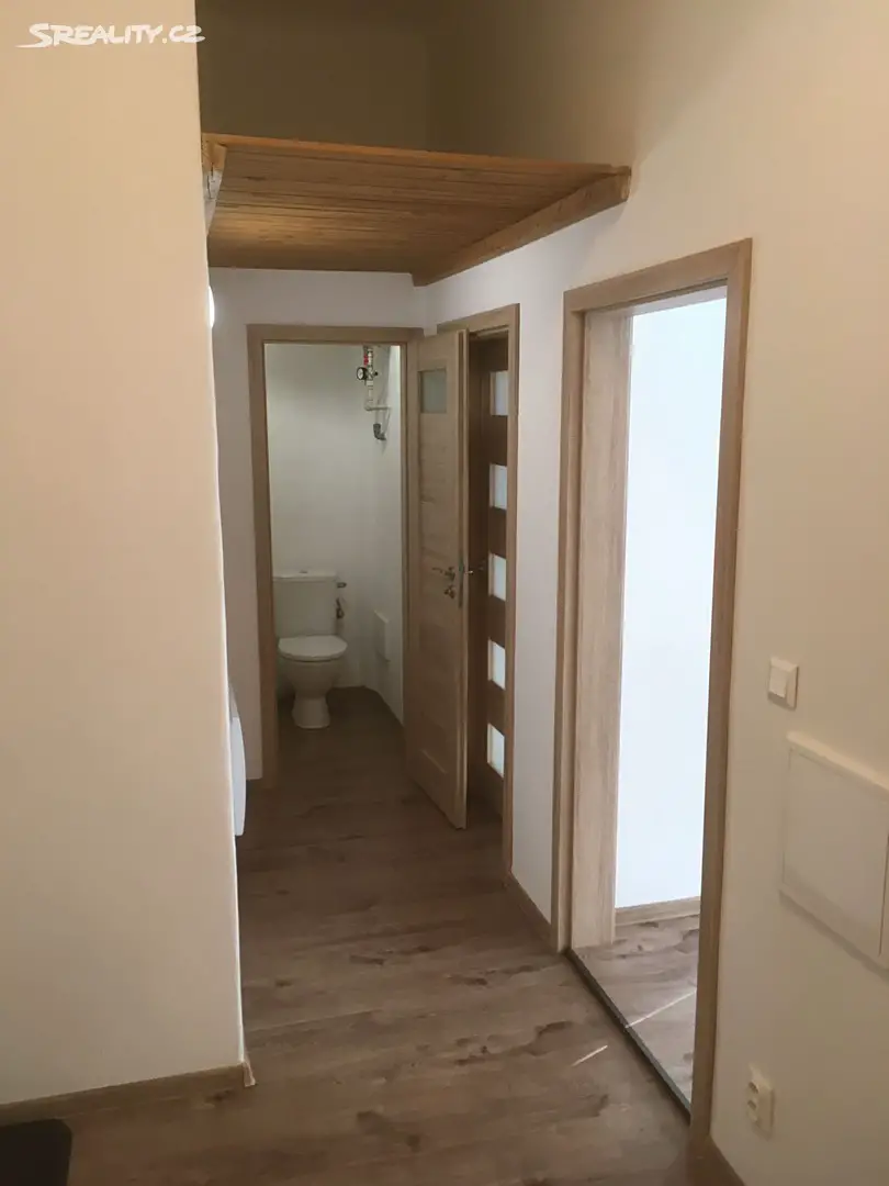 Pronájem bytu 1+1 48 m², Havanská, Praha 7 - Bubeneč