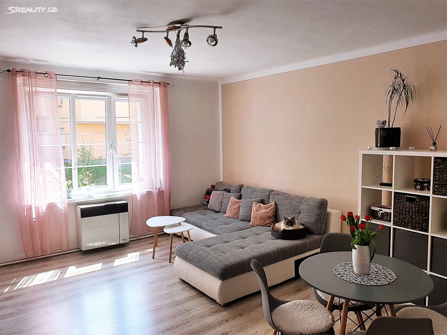 Prodej bytu 2+1 54 m², Borská, Dalovice