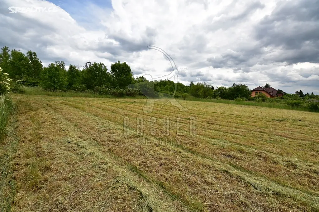 Prodej  stavebního pozemku 1 000 m², Kly - Dolní Vinice, okres Mělník