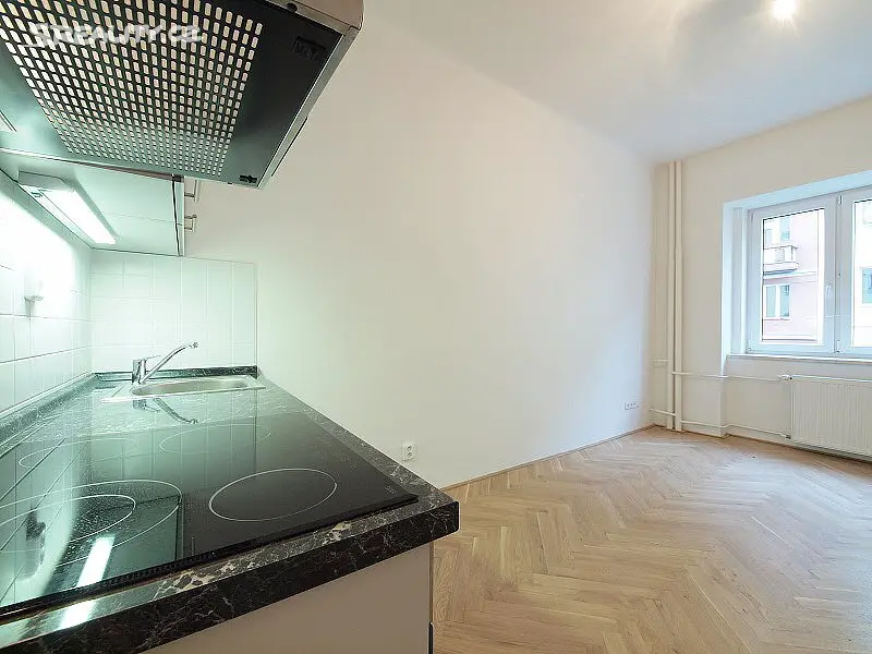 Pronájem bytu 1+kk 22 m², V Horní Stromce, Praha - Vinohrady