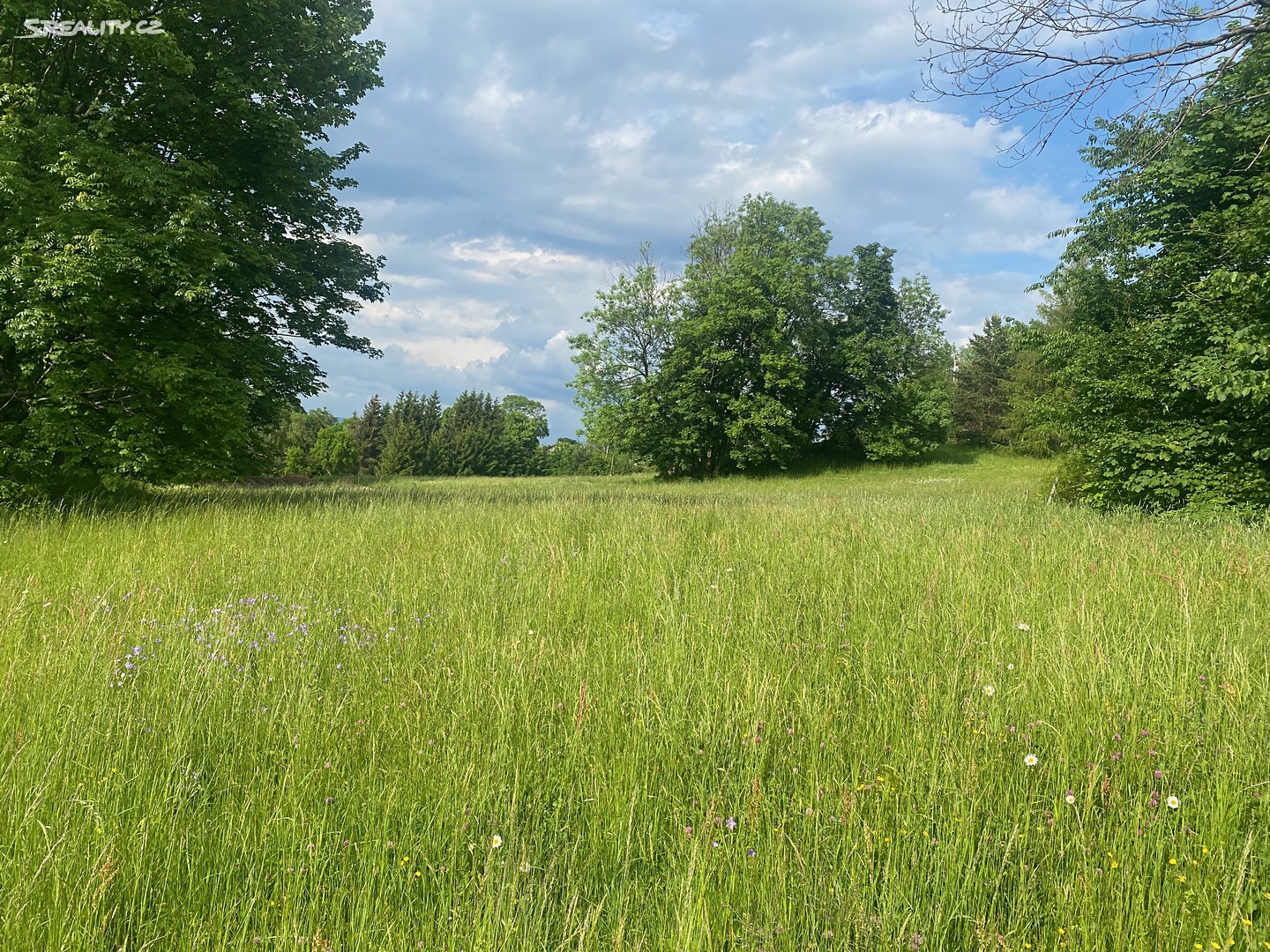 Prodej  stavebního pozemku 7 470 m², Lomnice nad Popelkou - Rváčov, okres Semily