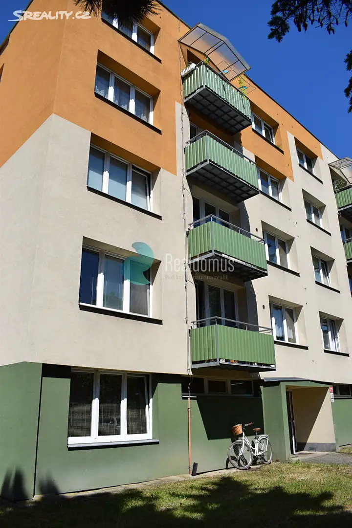 Pronájem bytu 1+1 40 m², Nerudova, České Budějovice - České Budějovice 3