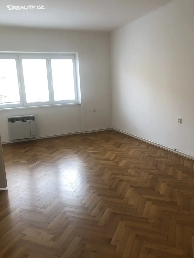 Pronájem bytu 2+kk 83 m², Slepá, Brno - Černá Pole