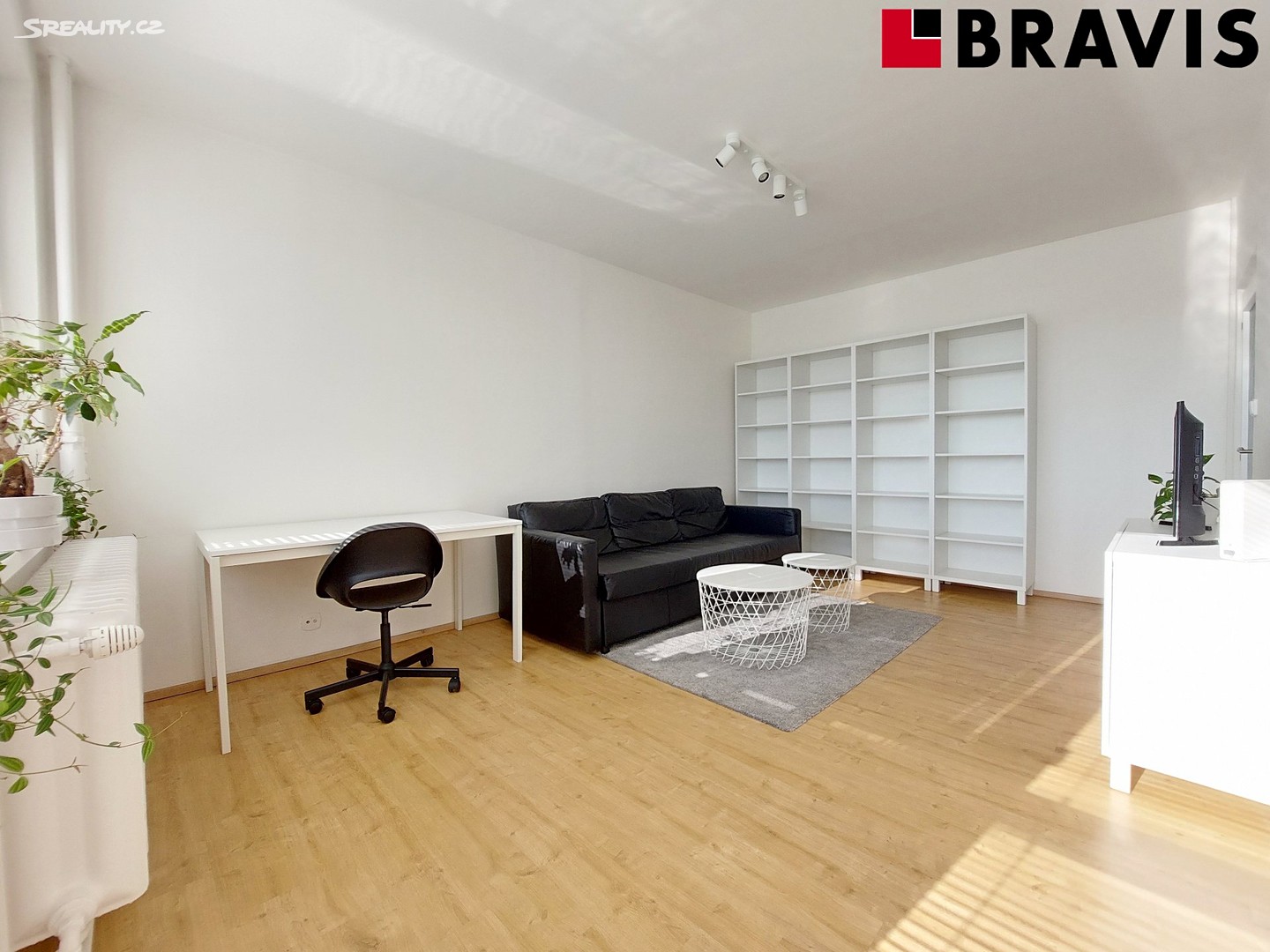 Pronájem bytu 3+1 67 m², Žitná, Brno - Řečkovice