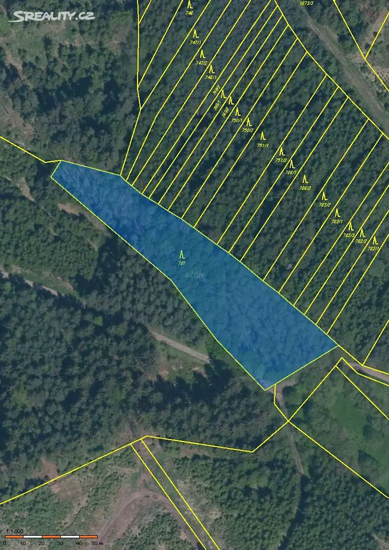Prodej  lesa 46 375 m², Řepeč, okres Tábor