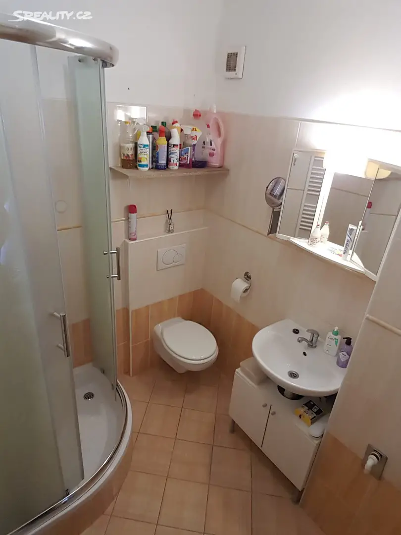 Pronájem bytu 2+kk 35 m², Zdeňka Lhoty, Černošice