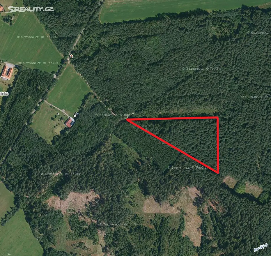 Prodej  lesa 2 997 m², Borovany - Třebeč, okres České Budějovice