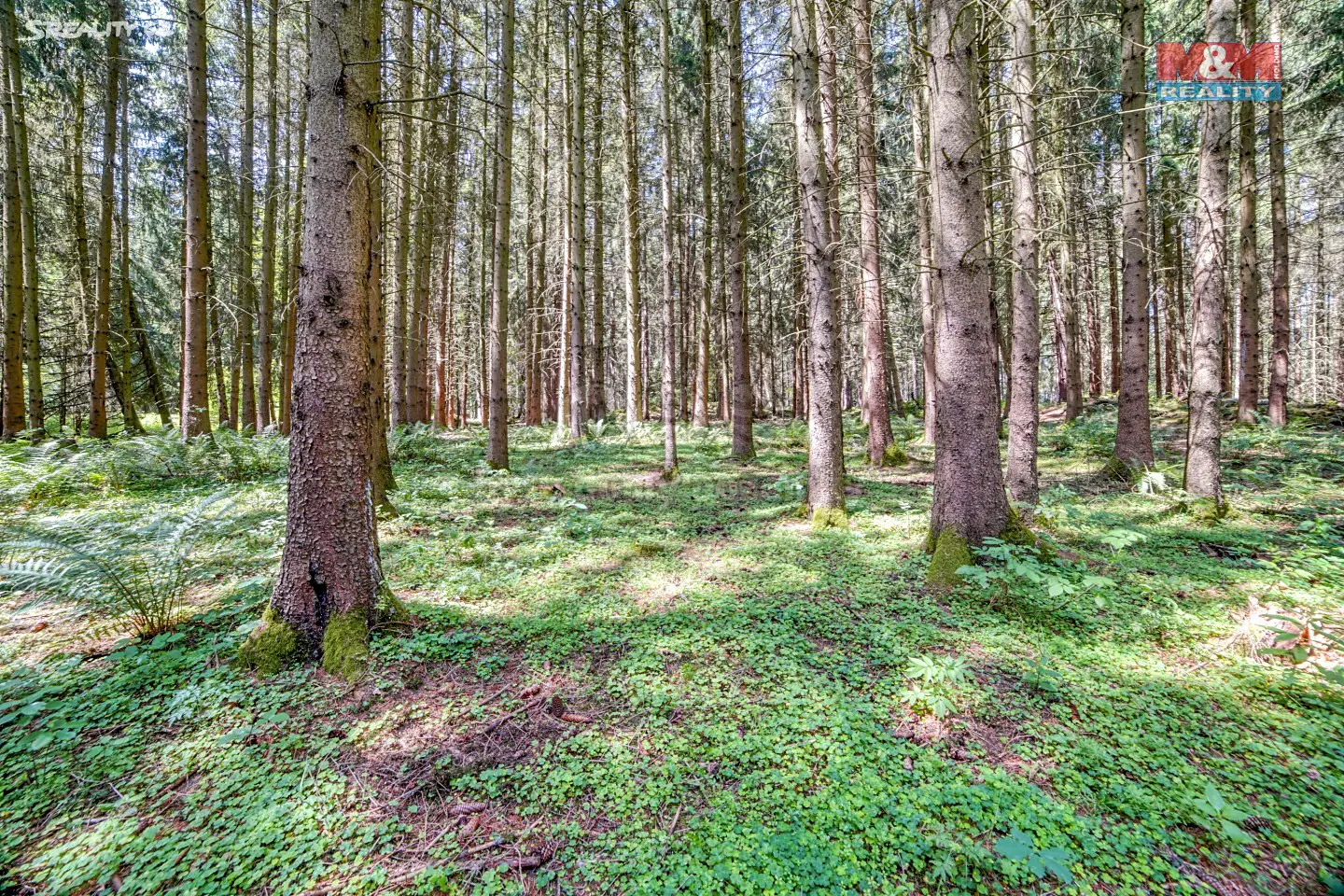 Prodej  lesa 8 403 m², Kramolín, okres Plzeň-jih