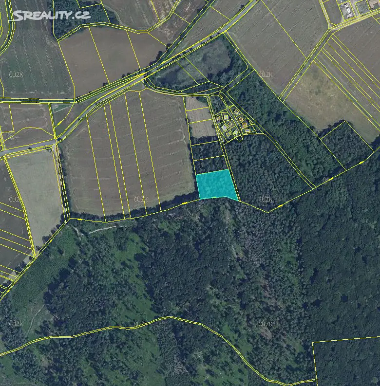 Prodej  lesa 4 910 m², Lechotice, okres Kroměříž
