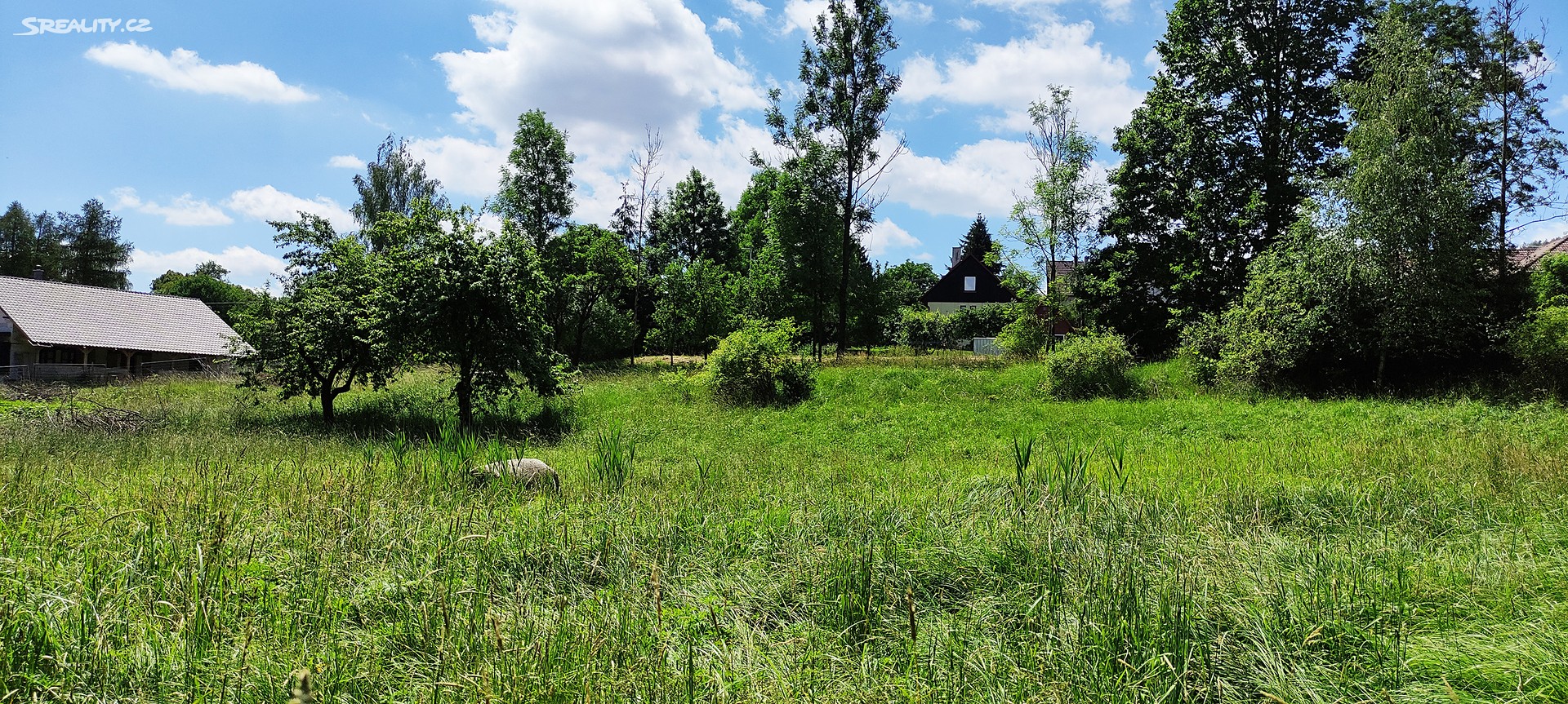 Prodej  rybníku (vodní plochy) 1 846 m², Letovice - Meziříčko, okres Blansko