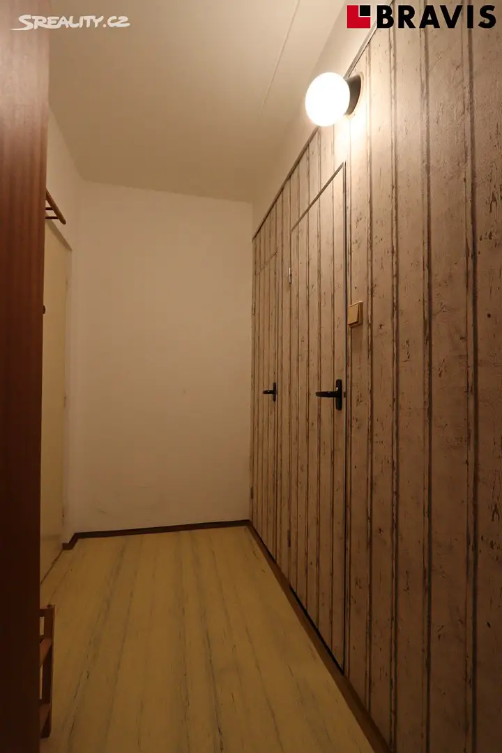 Pronájem bytu 1+1 43 m², Luční, Brno - Žabovřesky