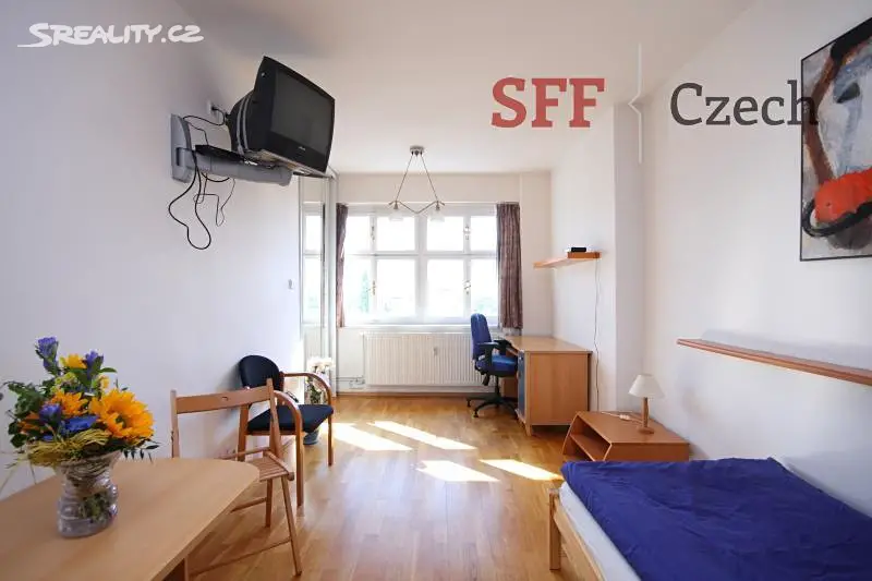 Pronájem bytu 1+1 28 m², Šafaříkova, Praha 2 - Vinohrady
