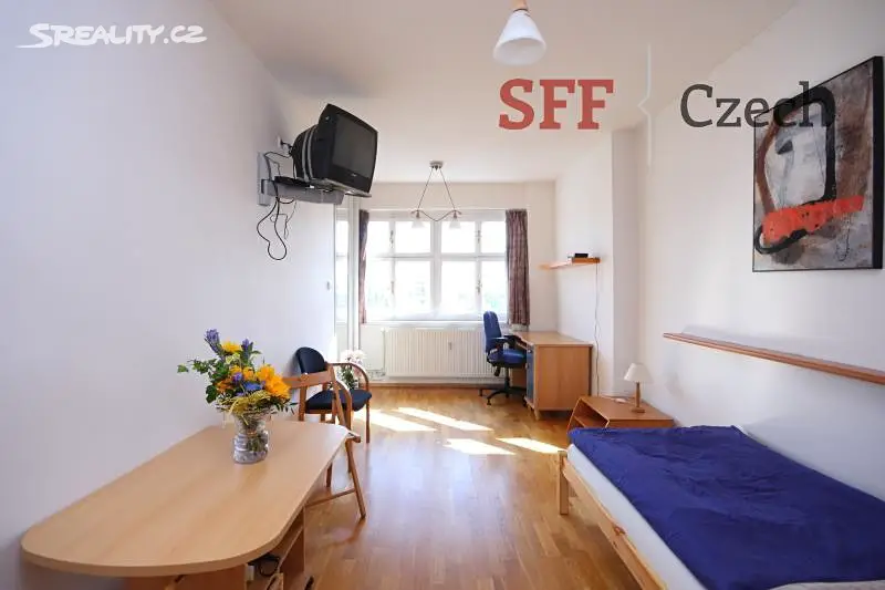 Pronájem bytu 1+1 28 m², Šafaříkova, Praha 2 - Vinohrady