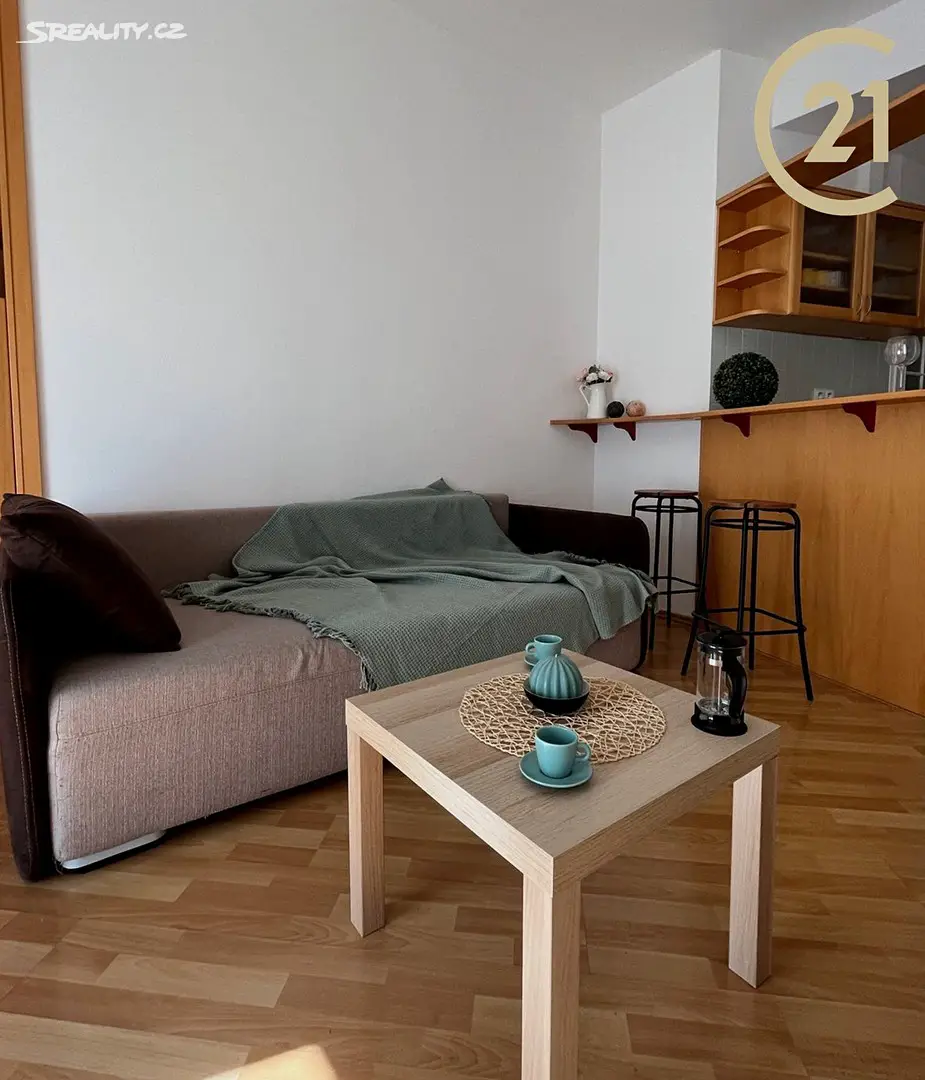 Pronájem bytu 1+kk 25 m², Stojanova, Brno - Veveří